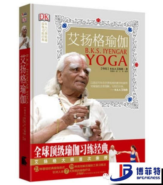 艾揚格瑜伽：精準習練指南