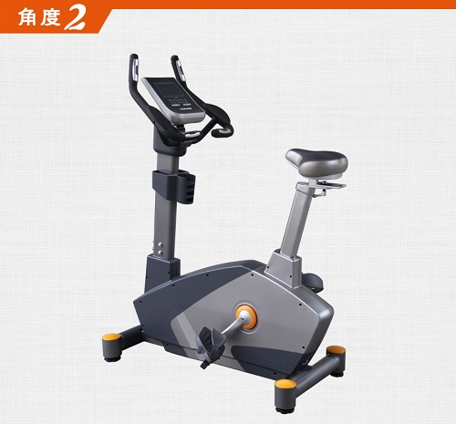 BCE201 磁控豪華立式健身車向日葵视频污下载批發 健身車大全大圖展示1