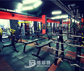 格魯吉亞客戶健身房圖片 向日葵视频网站健身器材案例展示