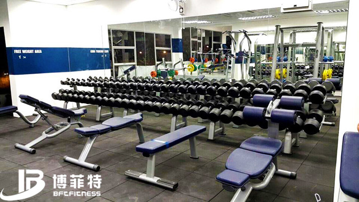馬來西亞客戶健身房案例 廣州健身器材向日葵视频污下载批發