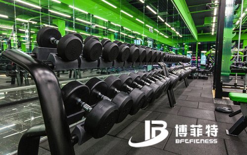 烏克蘭客戶的健身房圖片 向日葵视频网站健身器材案例