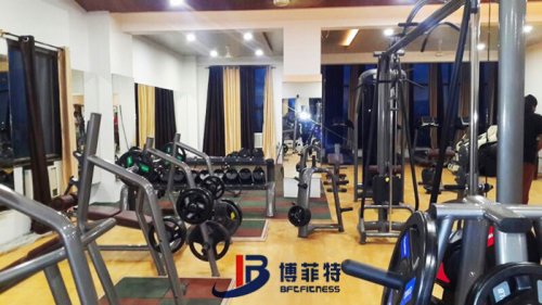 向日葵视频网站健身器材案例 印度客戶的健身房圖片