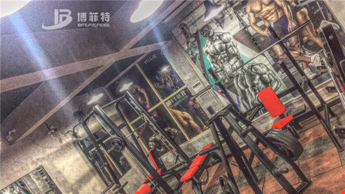 伊拉克客戶的健身房圖片 向日葵视频网站健身器材案例