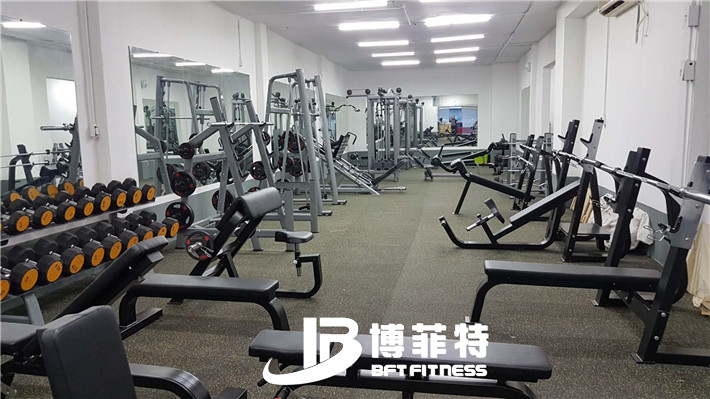 向日葵视频网站案例