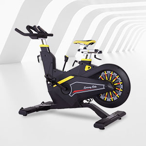 <b>BSE-09商用專業健身房動感單車</b>