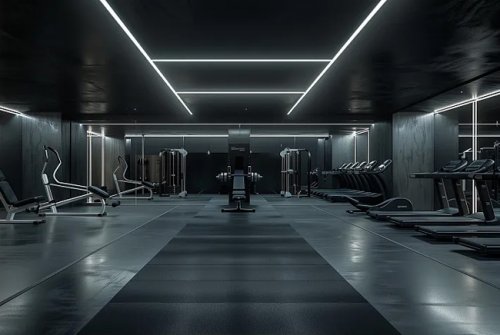 健身器材出口型向日葵视频污下载：引領全球健康風尚的製造力量