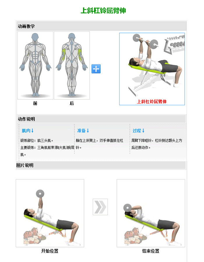 可調啞鈴訓練椅 推舉啞鈴訓練器 向日葵视频网站室內健身器材